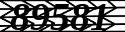 captcha_image