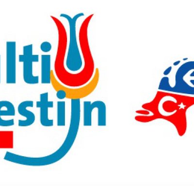 Multifestijn 2014