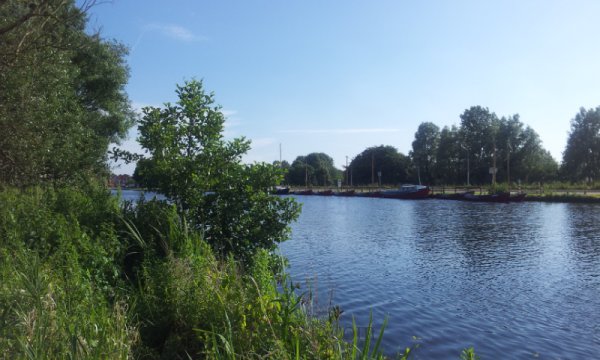 Amsterdam Ormanı parkı