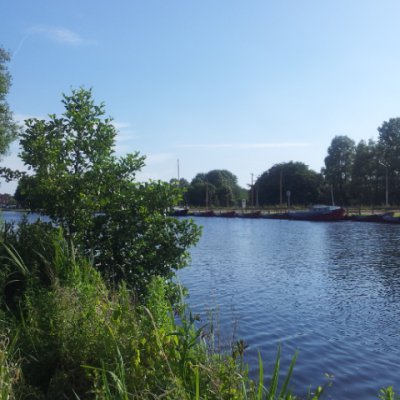 Amsterdam Ormanı parkı