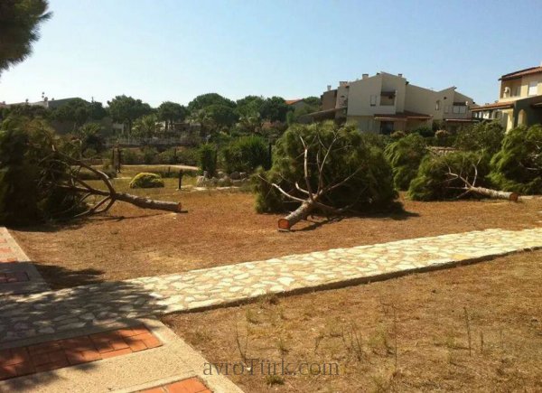İzmir Çeşme Dalyan'da Erbil sitesi magandaları ağaçları kestiler.