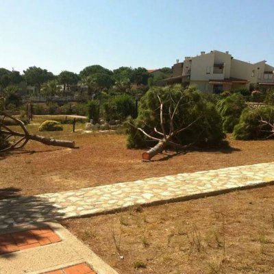İzmir Çeşme Dalyan'da Erbil sitesi magandaları ağaçları kestiler.
