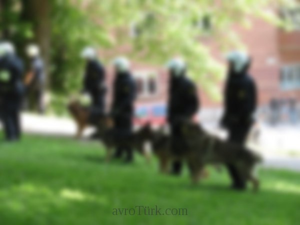 Polis operasyonu