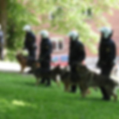 Polis operasyonu