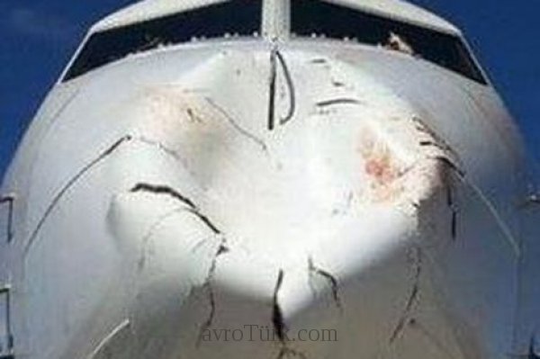 THY Burhaniye uçağına Nevşehir'de kuş çarpması