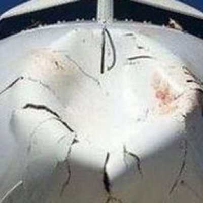 THY Burhaniye uçağına Nevşehir'de kuş çarpması