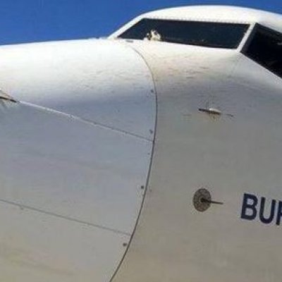 THY Burhaniye uçağına Nevşehir'de kuş çarpması